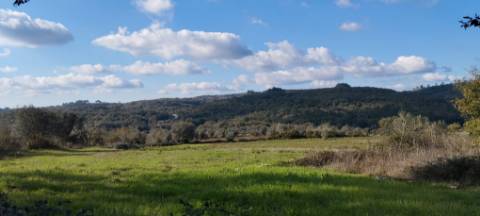 Terreno com ruína - local sossegado e vistas fantásticas