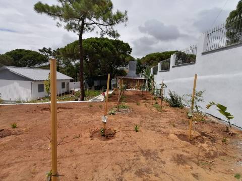 Moradia terrea-T2, encerida em 3 Terrenos na Courela do Pinhal com vista para Oceano Atlântico