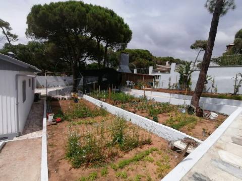 Moradia terrea-T2, encerida em 3 Terrenos na Courela do Pinhal com vista para Oceano Atlântico