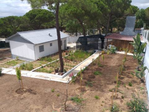 Moradia terrea-T2, encerida em 3 Terrenos na Courela do Pinhal com vista para Oceano Atlântico