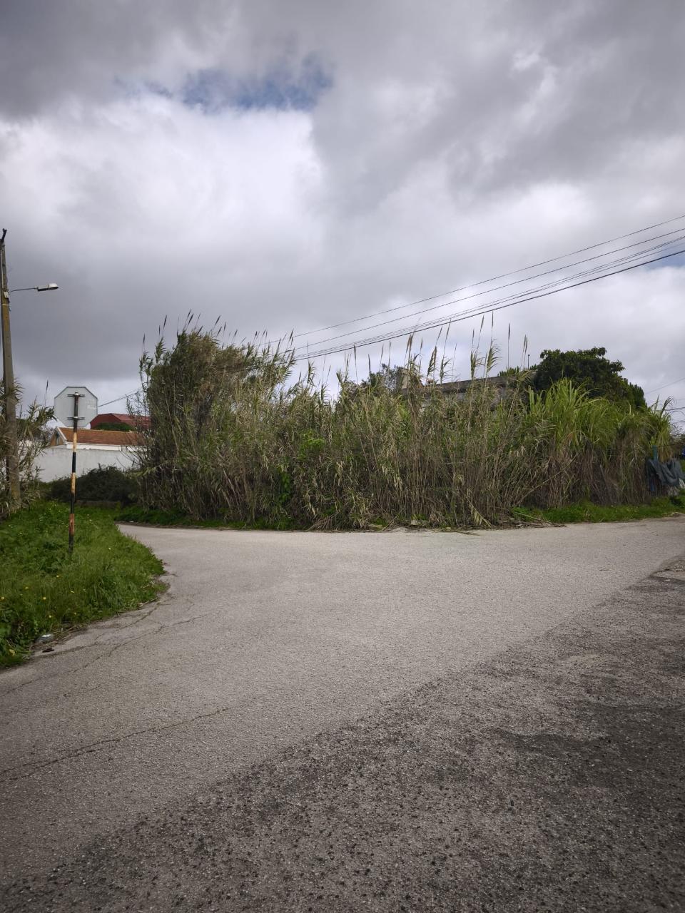 Quinta em Monte de Caparica,Almada, com lote de 23 497 m² ,perto de Universidade.