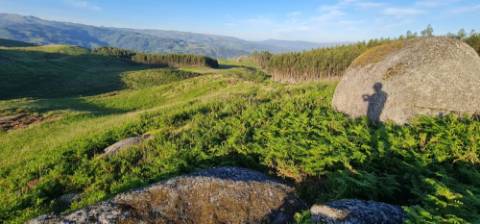 Terreno com projeto de turismo aprovado, em Cabeceiras de Basto