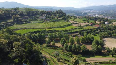 Terreno misto, com 2530 m², na Faia, Cabeceiras de Basto