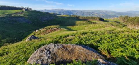 Terreno ideal para turísmo rural em Cabeceiras de Basto