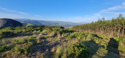 Terreno ideal para turísmo rural em Cabeceiras de Basto