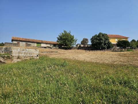 Quinta com Moradia T4 e anexo, em Leiradas, Rio Douro - Cabeceiras de Basto
