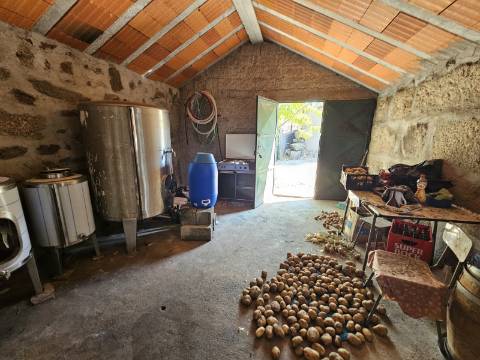 Quinta com Moradia T4 e anexo, em Leiradas, Rio Douro - Cabeceiras de Basto