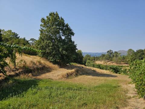 Quinta com Moradia T4 e anexo, em Leiradas, Rio Douro - Cabeceiras de Basto