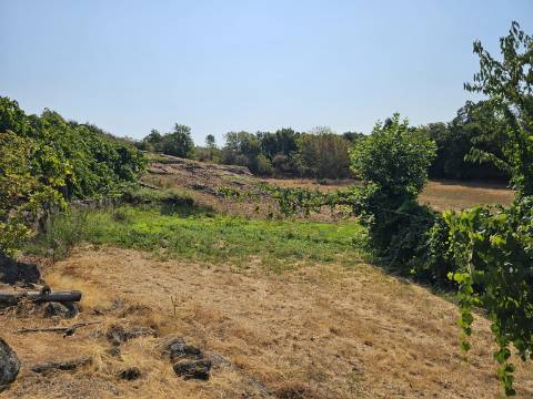 Quinta com Moradia T4 e anexo, em Leiradas, Rio Douro - Cabeceiras de Basto