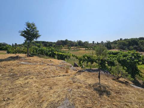 Quinta com Moradia T4 e anexo, em Leiradas, Rio Douro - Cabeceiras de Basto