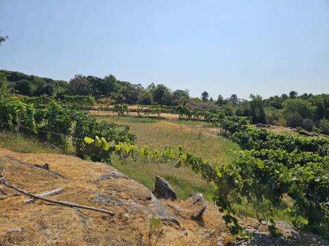 Quinta com Moradia T4 e anexo, em Leiradas, Rio Douro - Cabeceiras de Basto