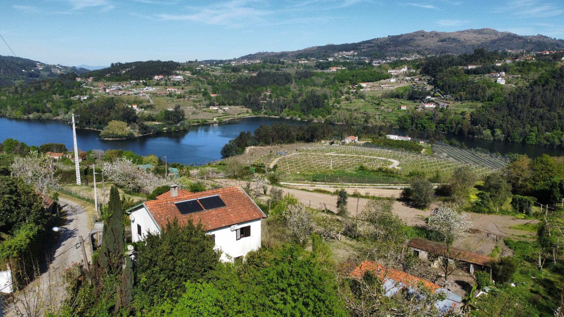 Terreno com 1ha, em Boelhe, Penafiel