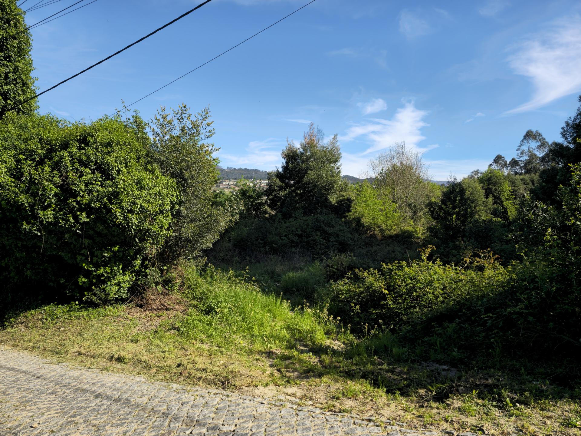 Terreno com 1ha, em Boelhe, Penafiel