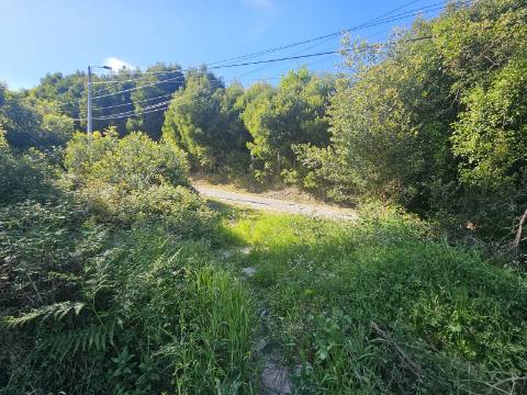 Terreno com 1ha, em Boelhe, Penafiel