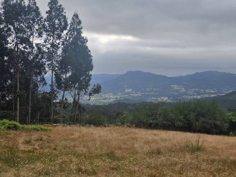 Terreno com 5.000 m² e Anexo Agrícola - Potencial para Turismo Rural