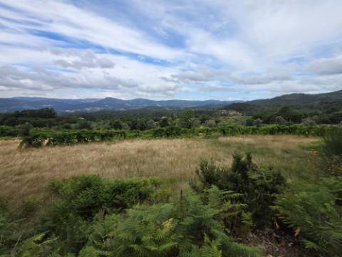 Terreno com 5.000 m² e Anexo Agrícola - Potencial para Turismo Rural