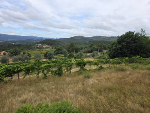 Terreno com 5.000 m² e Anexo Agrícola - Potencial para Turismo Rural