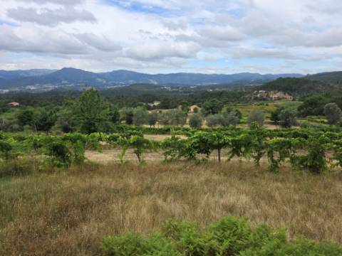 Terreno com 5.000 m² e Anexo Agrícola - Potencial para Turismo Rural