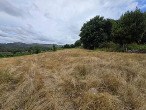 Terreno com 5.000 m² e Anexo Agrícola - Potencial para Turismo Rural