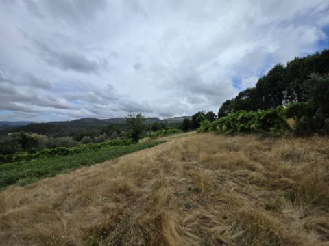 Terreno com 5.000 m² e Anexo Agrícola - Potencial para Turismo Rural