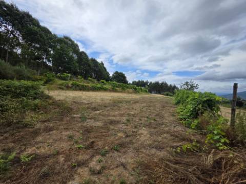 Terreno com 5.000 m² e Anexo Agrícola - Potencial para Turismo Rural