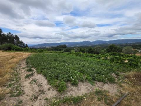 Terreno com 5.000 m² e Anexo Agrícola - Potencial para Turismo Rural