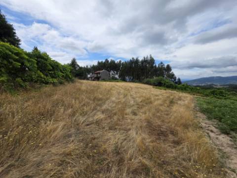 Terreno com 5.000 m² e Anexo Agrícola - Potencial para Turismo Rural