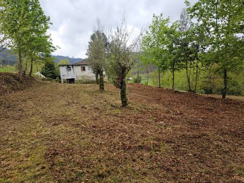 Quinta junto ao rio e área de lazer de Santa Senhorinha de Basto, Cabeceiras de Basto