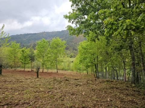 Quinta junto ao rio e área de lazer de Santa Senhorinha de Basto, Cabeceiras de Basto