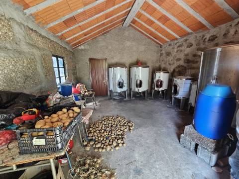 Quinta Rural em Leiradas, Rio Douro, Cabeceiras de Basto