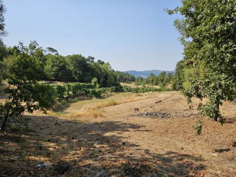 Quinta Rural em Leiradas, Rio Douro, Cabeceiras de Basto