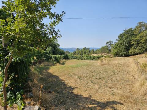 Quinta Rural em Leiradas, Rio Douro, Cabeceiras de Basto