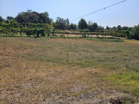Quinta Rural em Leiradas, Rio Douro, Cabeceiras de Basto