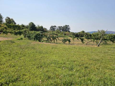 Quinta Rural em Leiradas, Rio Douro, Cabeceiras de Basto
