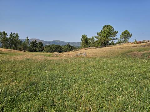 Quinta Rural em Leiradas, Rio Douro, Cabeceiras de Basto