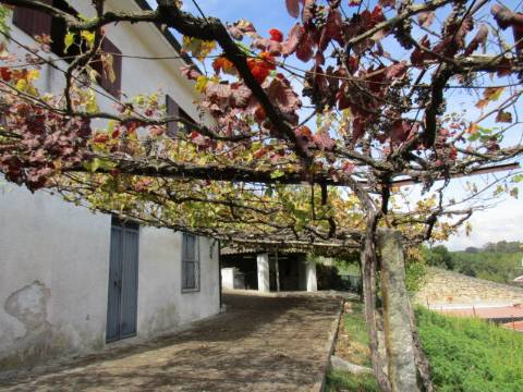 Quintinha em Roriz
