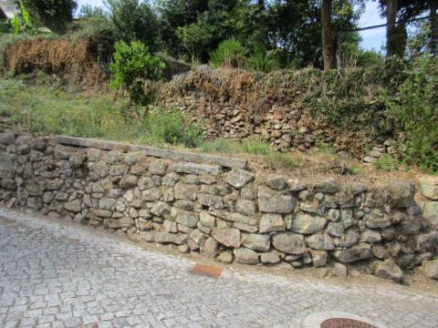 Quintinha em Roriz