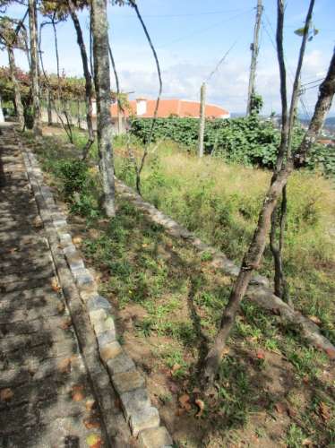 Quintinha em Roriz