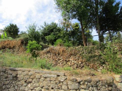 Quintinha em Roriz
