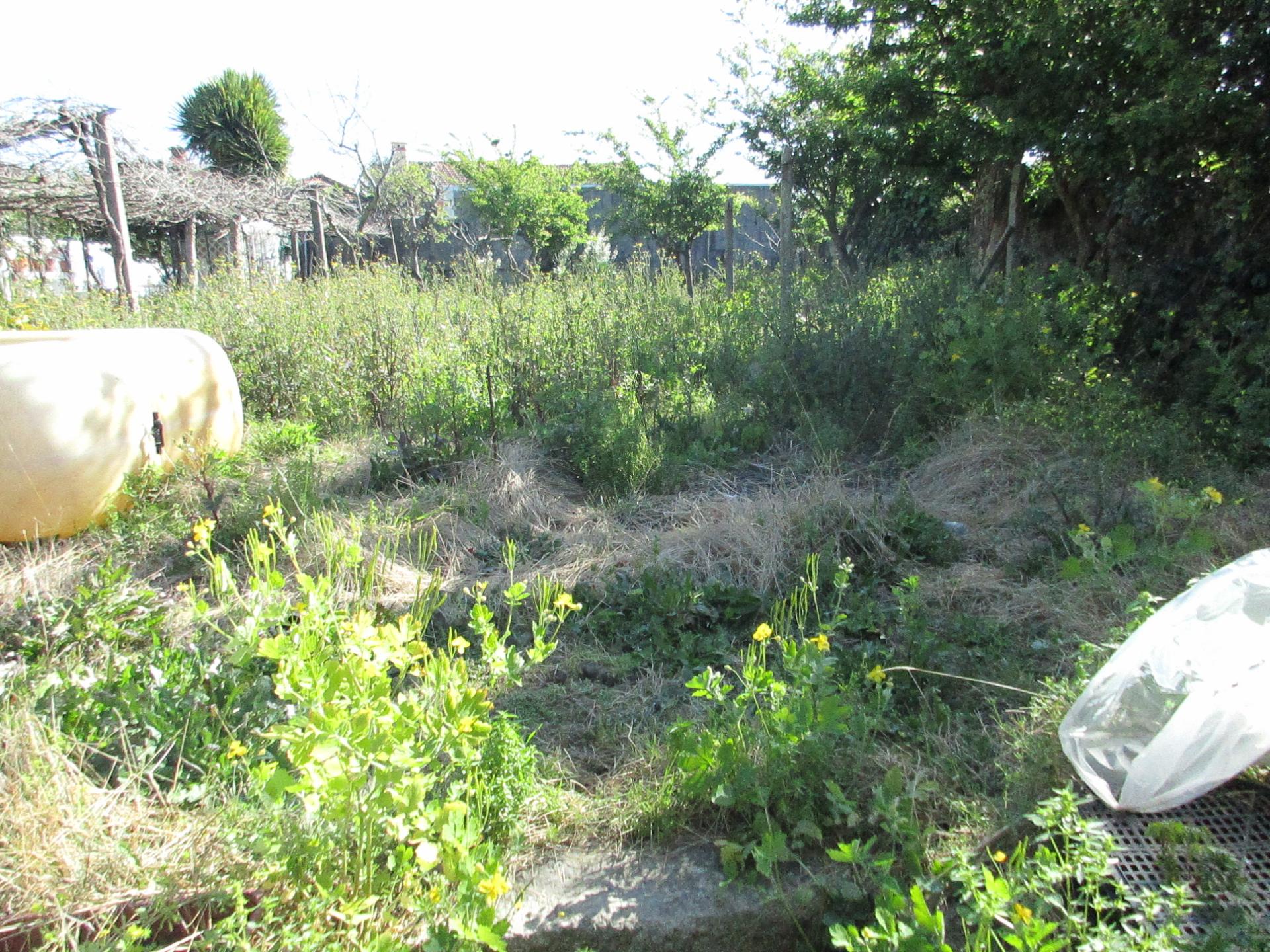 Terreno para Moradia na Palmilheira