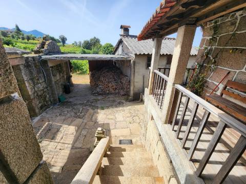 Quinta Vinícola em Atei, Mondim de Basto