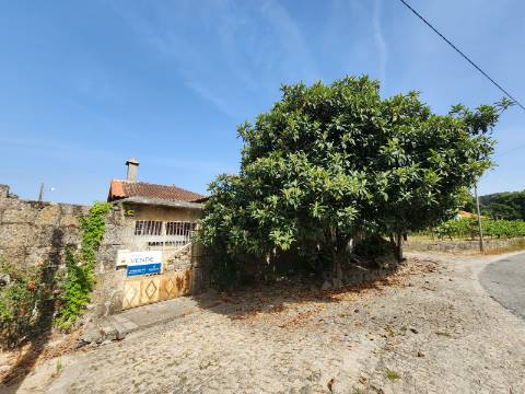 Quinta Vinícola em Atei, Mondim de Basto