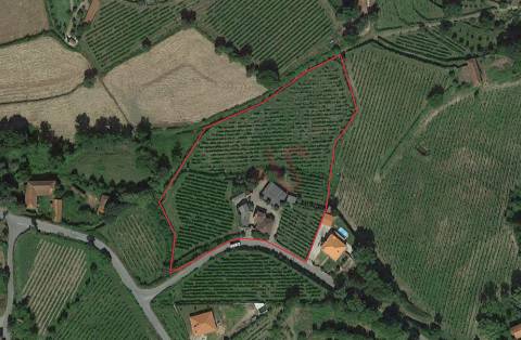 Quinta Vinícola em Atei, Mondim de Basto