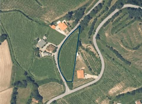 Terreno com potencial de construção em Atei