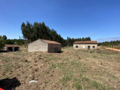 Refúgio no Campo: Casa Antiga com Terreno Plano e Eucaliptos