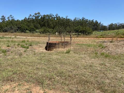 Refúgio no Campo: Casa Antiga com Terreno Plano e Eucaliptos