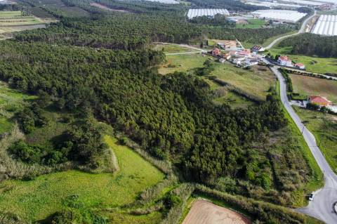 Terreno com viabilidade de desenvolvimento turístico