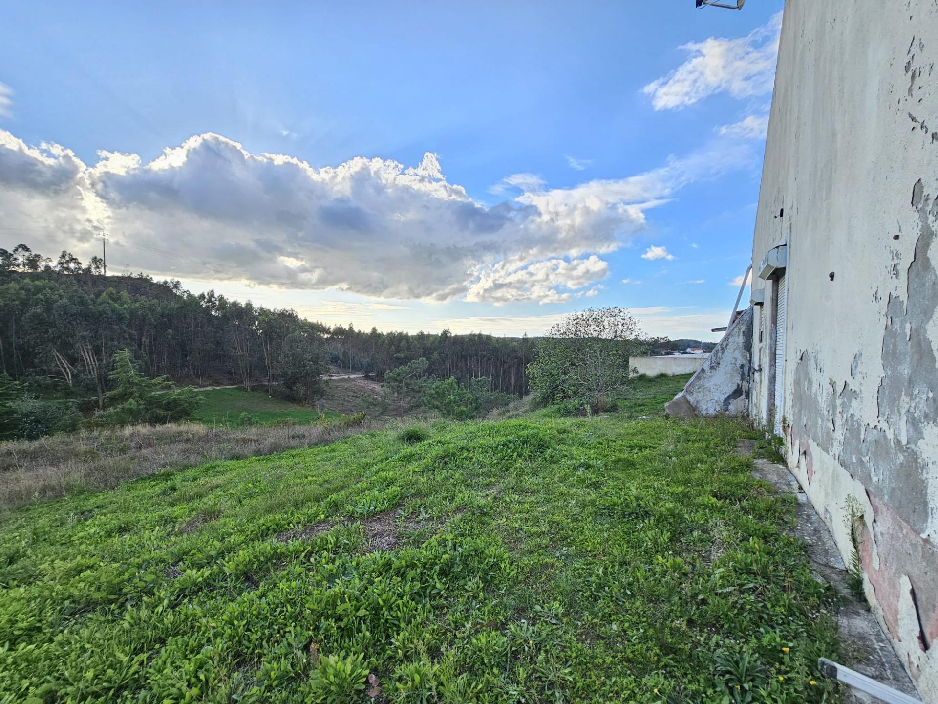 Terreno de 12.105 m2 com moradia Torres Vedras