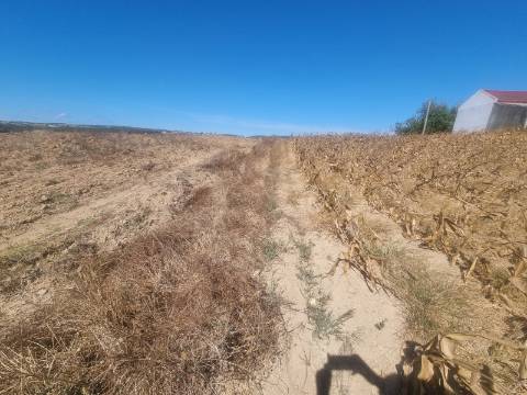Terreno Urbanizável com 1.880 m² | Excelente Oportunidade em Campelos - Torres Vedras