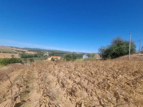 Terreno Urbanizável com 1.880 m² | Excelente Oportunidade em Campelos - Torres Vedras